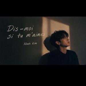 Dis (moi si tu m'aimes)