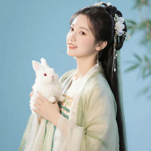 卯兔・月光下的梦