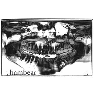 mandible