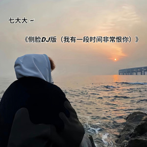 侧脸（我有一段时间非常恨你（DJ版）