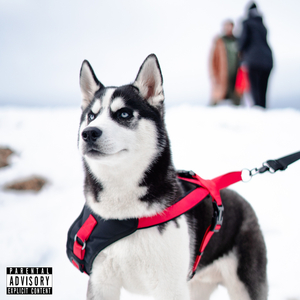 HUSKY (feat. A.GIRL, Big Skeez & Project Peters) (Remix)