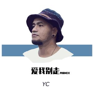 张震岳-爱我别走（YoCo remix）