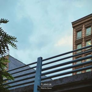 Flaneur