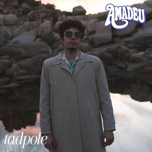 tadpole