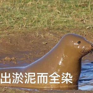 束竹令·1版(待优化)