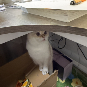 i cant handle change