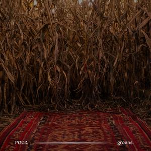 Groans (Radio Edit)