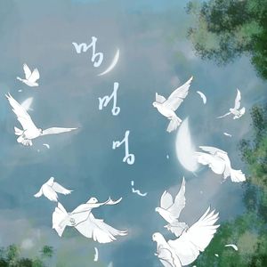 鸽子