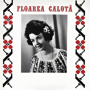 Pe De-alături Cu Drumul