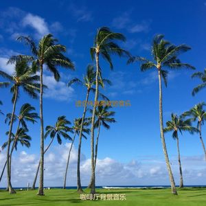 适合休息柔软的音乐