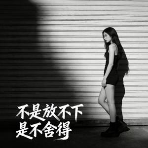 不是放不下是不舍得