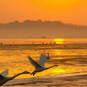 其实我真的很想你 (DJ小刚)