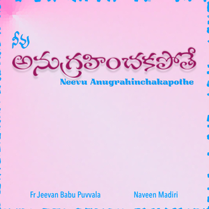 Neevu Anugrahinchakapothe
