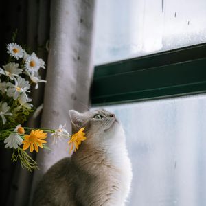 人间是否还有温度