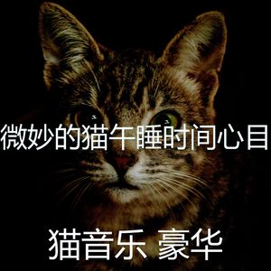 抚慰的睡猫回忆