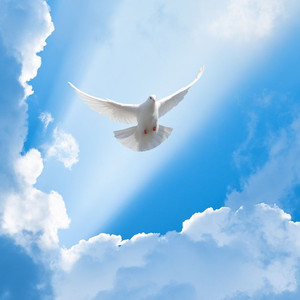 听我唱情歌 伴奏