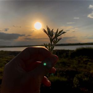 4777_79fa_c7ed_7c86659f8141ef06af42605ce9e0f1bd 伴奏