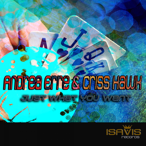 Just What You Want (Original Mix)