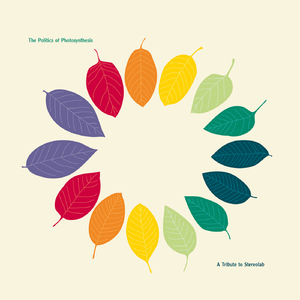 Check and Double Check - Simple Machines