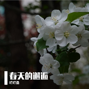 JC53-春天的邂逅 Encounter in Spring_DEMO
