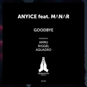 Goodbye (Riggel Remix)