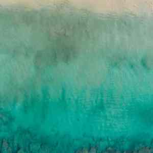 你也会有遗憾吗 (单簧管)