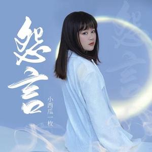 怨言 (DJ版)