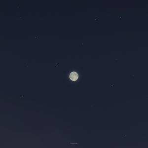 回音(Chinese Ver.）（翻自 jionggu）