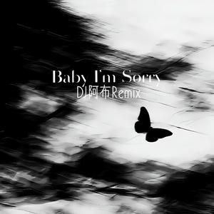 Baby I'm Sorry（DJ阿布 remix）