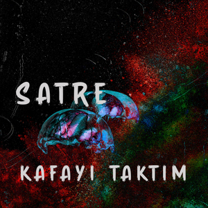 Kafayı Taktım