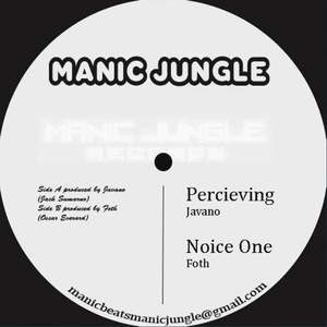 Percieving (Original Mix)