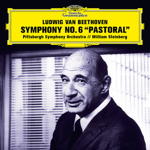 Symphony No. 6 in F Major, Op. 68 "Pastoral":2. Szene am Bach (Andante molto mosso)