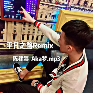 朴树-平凡之路Remix（陈建海 Remix）