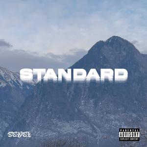 STANDARD
