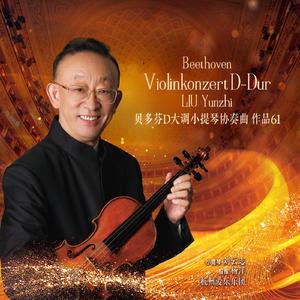 贝多芬D大调小提琴协奏曲作品61第一乐章