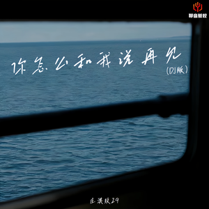 你怎么和我说再见(DJ版)
