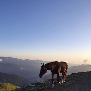 Dusk Till Dawn-Sia（VaSka / 马思远Music remix）