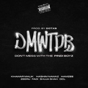 DMWTPB (feat. Fadi, OCL, Khawar Malik, Hamzee, Hashim Nawaz, Zeeru, Shuja Shah & dotxb)