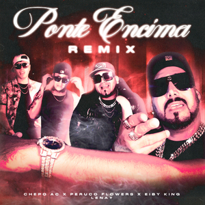 Ponte Encima Remix (Remix)