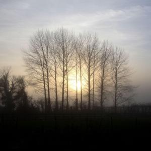 Deep Longing