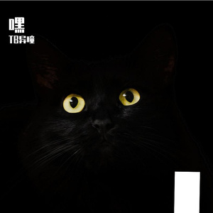 诈骗犯(Prod.Eee.T)