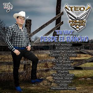 CRIMEN DE CULIACAN (En vivo)