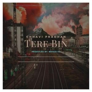 Tere Bin (feat. Chhavi Pradhan)