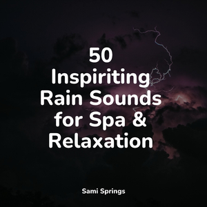 Forest, Morning, Birds, Bugs