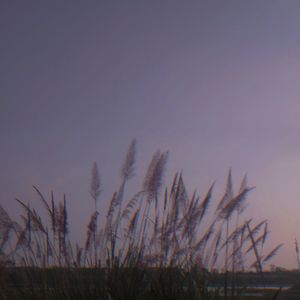 Calvin Harris / Rihanna - This Is What You Came For（Ekko Remix）（Ekko remix）