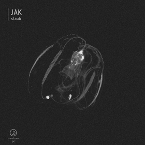 Staub (Original Mix)