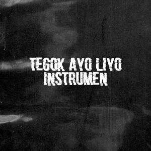 TEGOK AYO LIYO (instrumen)