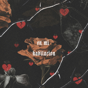 En Mi Habitacion