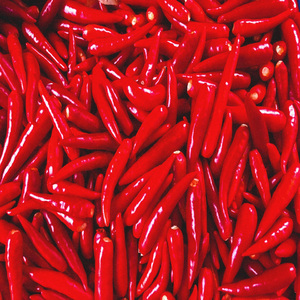 โรงเรียน = กดขี่