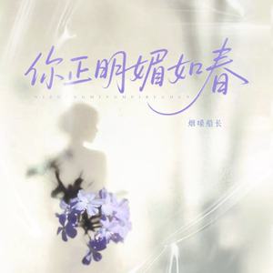 你正明媚如春 (DJ阿尼版)